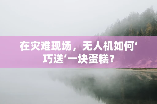 在灾难现场，无人机如何‘巧送’一块蛋糕？
