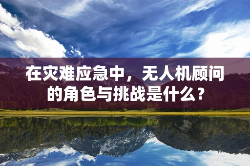 在灾难应急中，无人机顾问的角色与挑战是什么？
