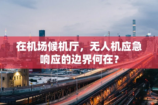 在机场候机厅，无人机应急响应的边界何在？