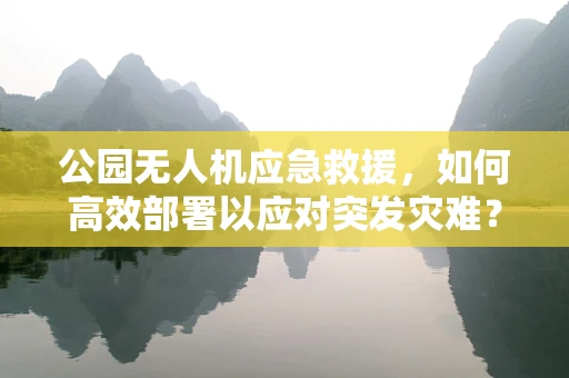 公园无人机应急救援，如何高效部署以应对突发灾难？