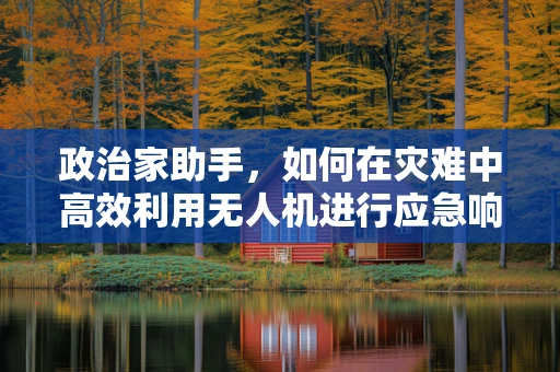 政治家助手，如何在灾难中高效利用无人机进行应急响应？
