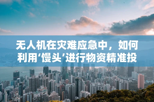 无人机在灾难应急中，如何利用‘馒头’进行物资精准投放？
