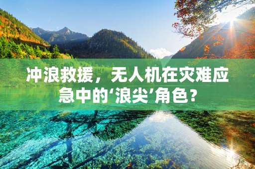 冲浪救援，无人机在灾难应急中的‘浪尖’角色？