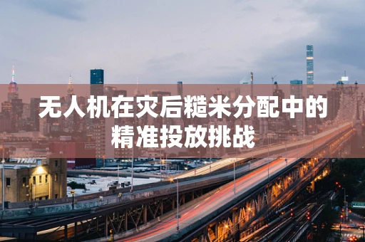 无人机在灾后糙米分配中的精准投放挑战