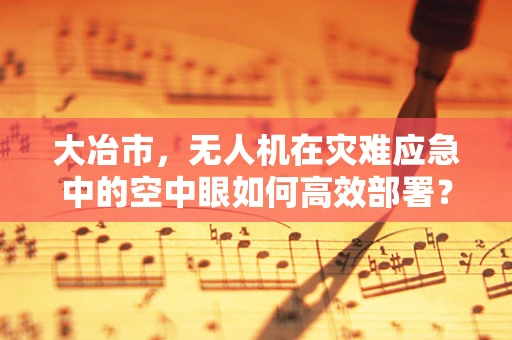 大冶市，无人机在灾难应急中的空中眼如何高效部署？