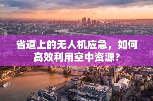 省道上的无人机应急，如何高效利用空中资源？