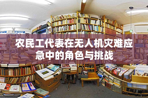农民工代表在无人机灾难应急中的角色与挑战
