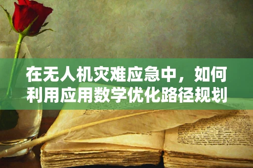 在无人机灾难应急中，如何利用应用数学优化路径规划与资源分配？