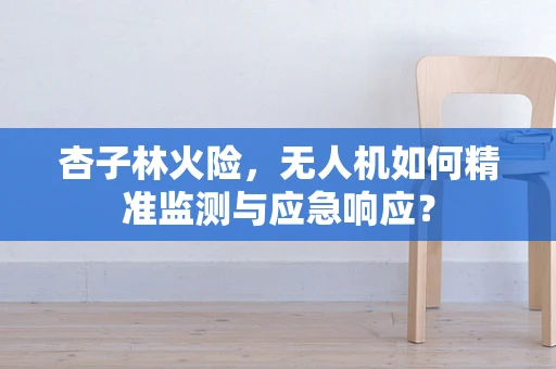 杏子林火险，无人机如何精准监测与应急响应？
