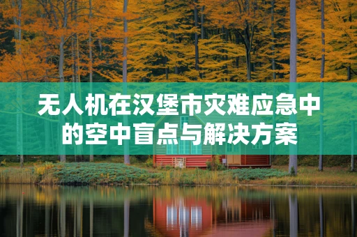 无人机在汉堡市灾难应急中的空中盲点与解决方案