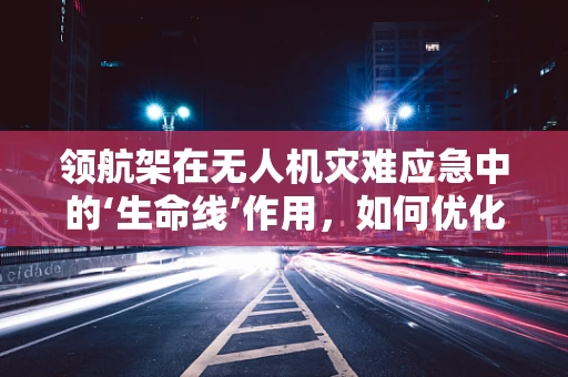 领航架在无人机灾难应急中的‘生命线’作用，如何优化设计以提升救援效率？