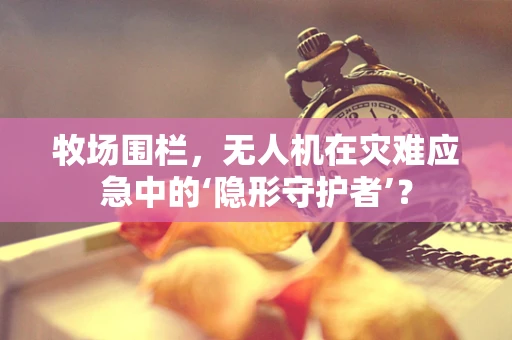 牧场围栏，无人机在灾难应急中的‘隐形守护者’？