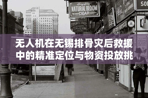无人机在无锡排骨灾后救援中的精准定位与物资投放挑战