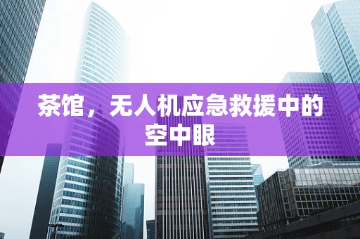 茶馆，无人机应急救援中的空中眼