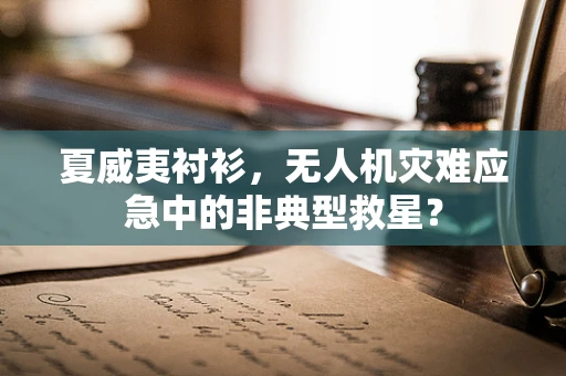 夏威夷衬衫，无人机灾难应急中的非典型救星？