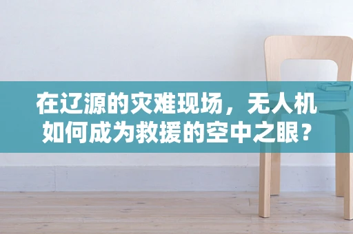 在辽源的灾难现场，无人机如何成为救援的空中之眼？