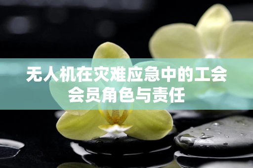 无人机在灾难应急中的工会会员角色与责任