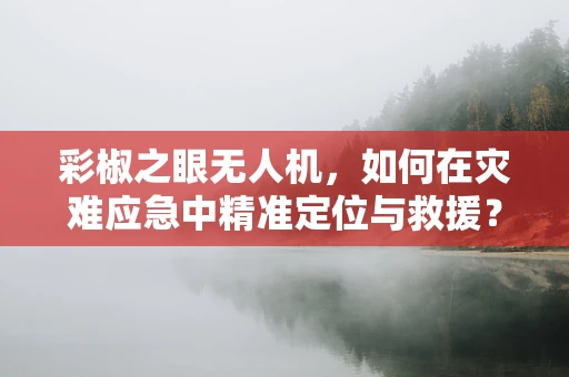 彩椒之眼无人机，如何在灾难应急中精准定位与救援？