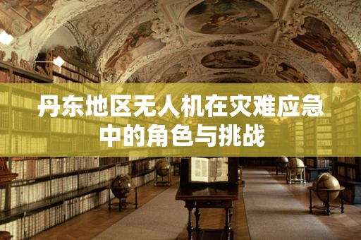 丹东地区无人机在灾难应急中的角色与挑战