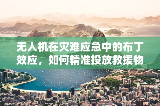 无人机在灾难应急中的布丁效应，如何精准投放救援物资？