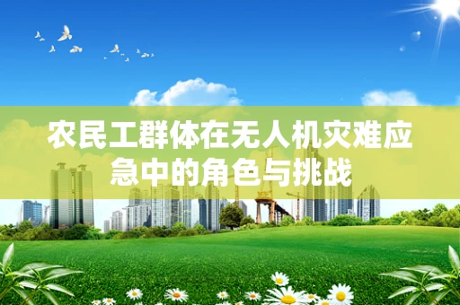 农民工群体在无人机灾难应急中的角色与挑战