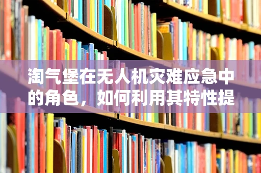 淘气堡在无人机灾难应急中的角色，如何利用其特性提升救援效率？