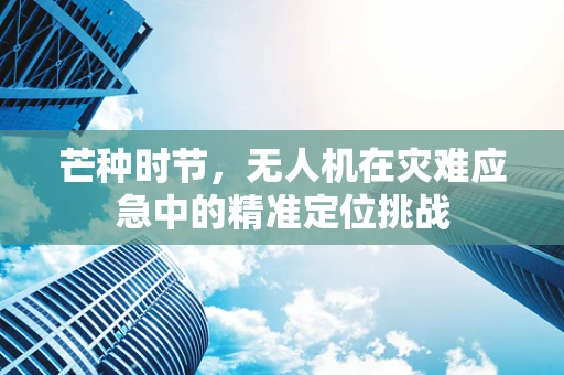 芒种时节，无人机在灾难应急中的精准定位挑战