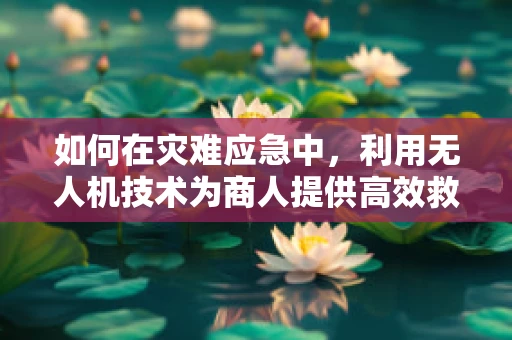 如何在灾难应急中，利用无人机技术为商人提供高效救援方案？