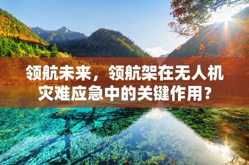 领航未来，领航架在无人机灾难应急中的关键作用？