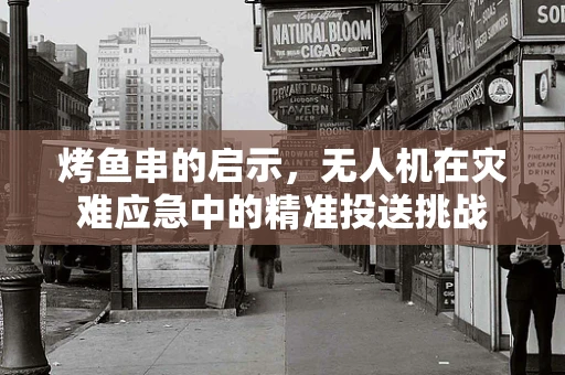 烤鱼串的启示，无人机在灾难应急中的精准投送挑战