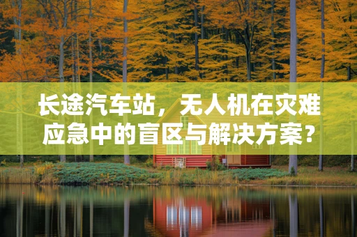 长途汽车站，无人机在灾难应急中的盲区与解决方案？