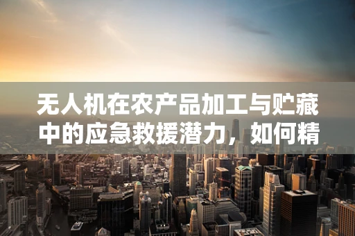 无人机在农产品加工与贮藏中的应急救援潜力，如何精准监测与快速响应？