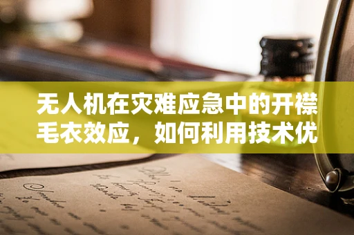 无人机在灾难应急中的开襟毛衣效应，如何利用技术优势提升救援效率？