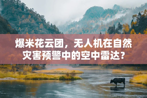 爆米花云团，无人机在自然灾害预警中的空中雷达？