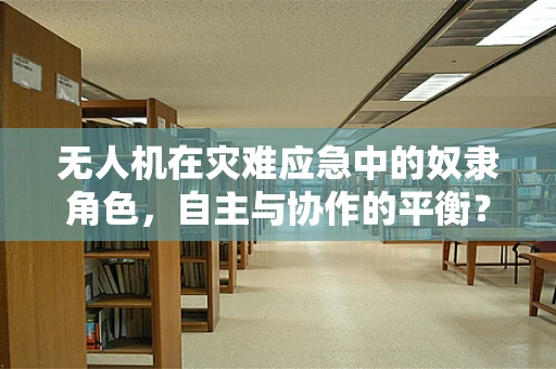 无人机在灾难应急中的奴隶角色，自主与协作的平衡？
