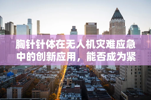 胸针针体在无人机灾难应急中的创新应用，能否成为紧急救援的新利器？