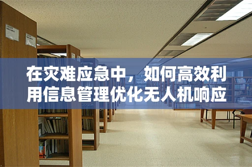 在灾难应急中，如何高效利用信息管理优化无人机响应策略？