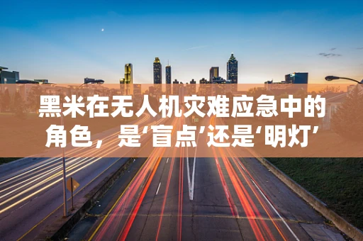 黑米在无人机灾难应急中的角色，是‘盲点’还是‘明灯’？