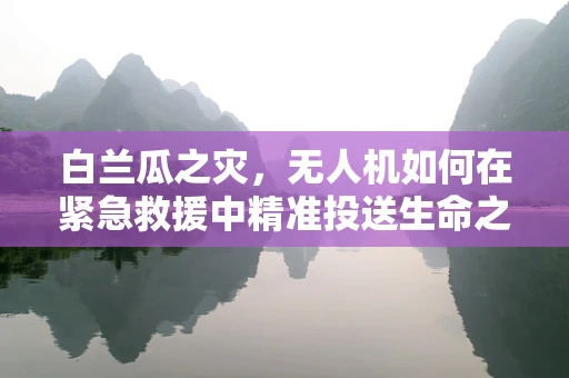 白兰瓜之灾，无人机如何在紧急救援中精准投送生命之水？