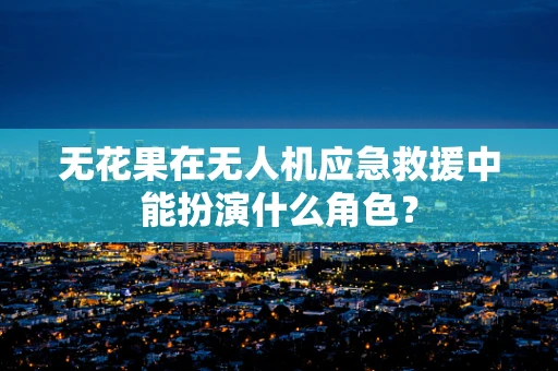 无花果在无人机应急救援中能扮演什么角色？