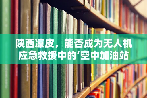 陕西凉皮，能否成为无人机应急救援中的‘空中加油站’？