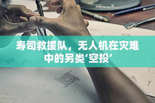 寿司救援队，无人机在灾难中的另类‘空投’