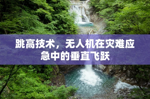 跳高技术，无人机在灾难应急中的垂直飞跃