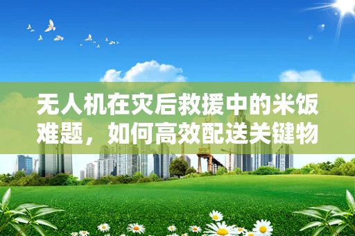 无人机在灾后救援中的米饭难题，如何高效配送关键物资？
