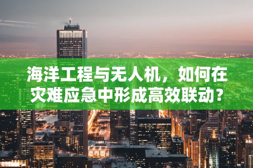 海洋工程与无人机，如何在灾难应急中形成高效联动？