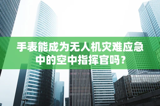 手表能成为无人机灾难应急中的空中指挥官吗？