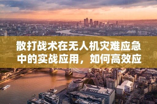 散打战术在无人机灾难应急中的实战应用，如何高效应对复杂环境？