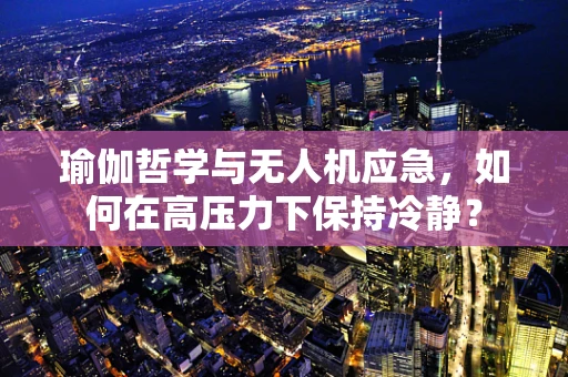 瑜伽哲学与无人机应急，如何在高压力下保持冷静？