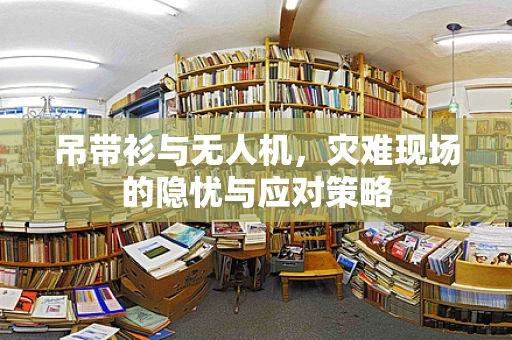 吊带衫与无人机，灾难现场的隐忧与应对策略
