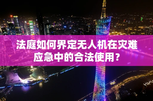 法庭如何界定无人机在灾难应急中的合法使用？